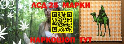гидропоника Апшеронск