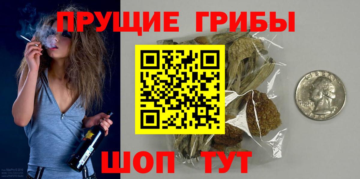 Верхняя Салда  Псилоцибиновые грибы мухоморы  Вход с VPN 